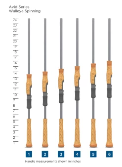 AVID SERIES WALLEYE SPINNING -St. Croix 62ac65d8611c3 scr handlechart avidserieswalleyespinning