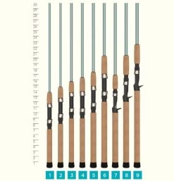 St. Croix Avid Series Inshore Spinning Rod (70MM) - Blue 7 St. Croix Avid Series Inshore Spinning Rod (70MM) - Blue -St. Croix st croix avid inshore spinning rod chart 57217.1619623784