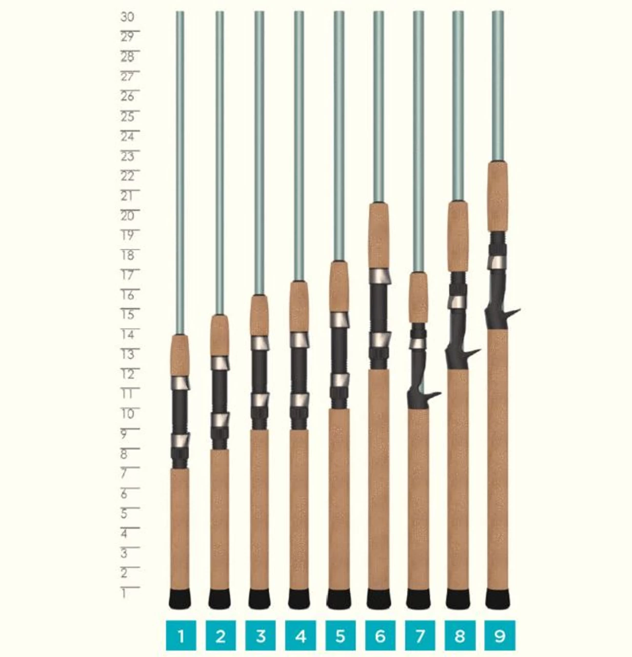 St. Croix Avid Series Inshore Spinning Rod (70MM) - Blue 5 St. Croix Avid Series Inshore Spinning Rod (70MM) - Blue - Image 3